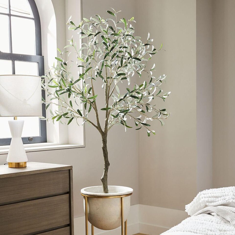 Faux Olive Tree west elm United Kingdom